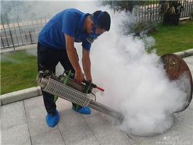 蚊子防治及滅殺