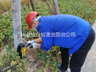 梯面王子山森林公園滅治白蟻