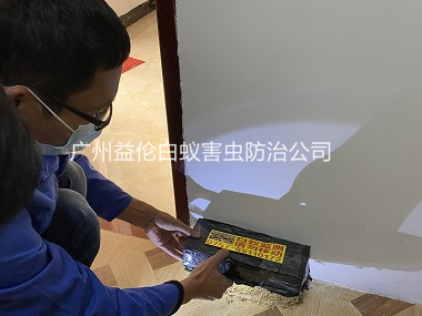 新華時代城殺白蟻