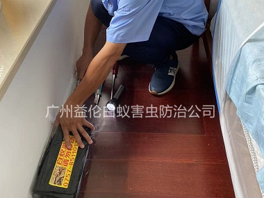 花東僑雅苑治白蟻