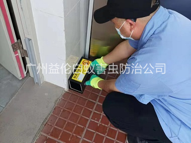 炭步安裝粘鼠板工程