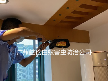 花都區(qū)碧桂園白蟻防治工程