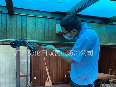 赤坭村上門(mén)治白蟻危害