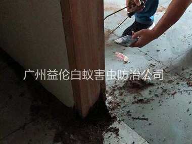 新華房屋防治白蟻