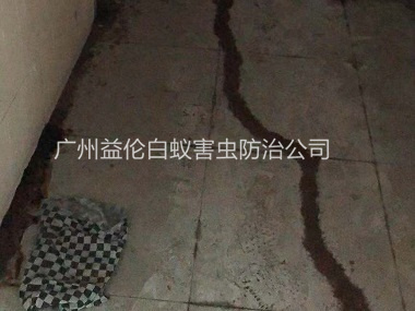 芙蓉度假區(qū)白蟻防治案例