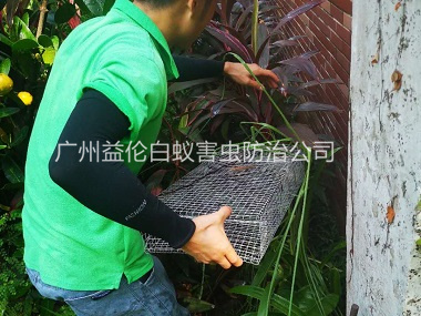 北興除四害公司抓蛇工程