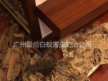 花山鎮(zhèn)名雅苑除白蟻危害
