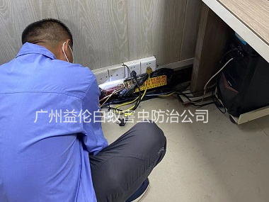 炭步鎮(zhèn)房屋治白蟻