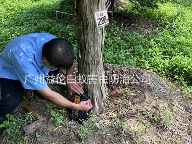 芙蓉園林綠化治白蟻