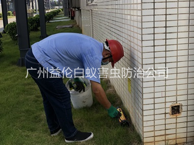花僑廠區(qū)滅鼠工程