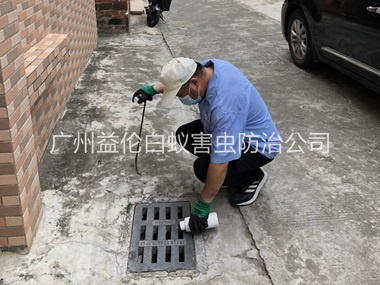 梯面蚊蠅孳生地消殺