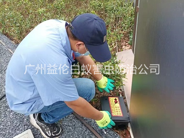 花都施藥滅鼠工程