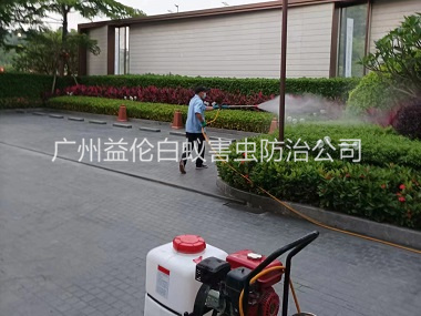 花東公園消殺蚊蟲