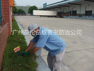 新華企業(yè)殺除紅火蟻