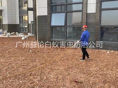 花僑房屋白蟻預(yù)防