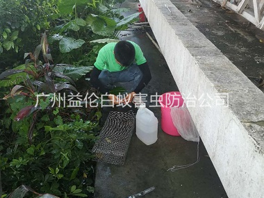 雅瑤蟲控站進(jìn)行捕蛇