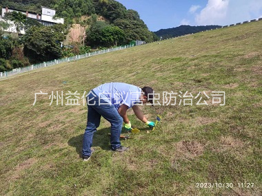 炭步水利白蟻防治工程