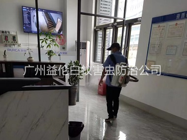 花山室內(nèi)消殺蚊蟲工程