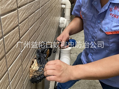北興建筑滅治白蟻工程