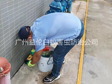 花都工廠施藥滅鼠工程