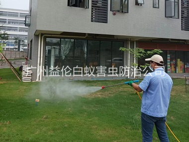 芙蓉蚊蟲害消殺工程