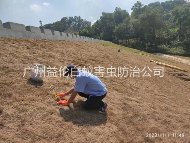 花山堤壩白蟻滅治工程