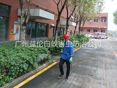 赤坭環(huán)境蚊蠅防控工程