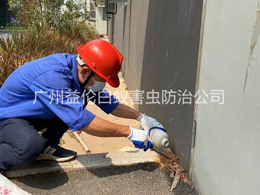 獅嶺紅火蟻防治工程