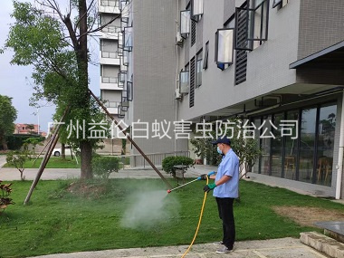 獅嶺小區(qū)殺滅蚊蠅工程