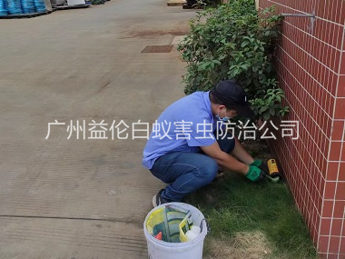 花東布放滅鼠屋工程