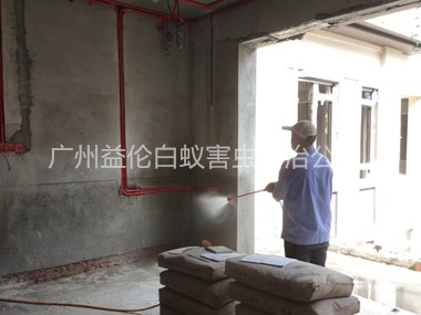 芙蓉裝修預(yù)防白蟻工程