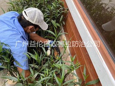 芙蓉園林綠化滅治白蟻工程