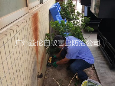 赤坭投放滅鼠裝置工程