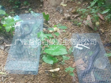 梯面上門驅蛇防蛇工程