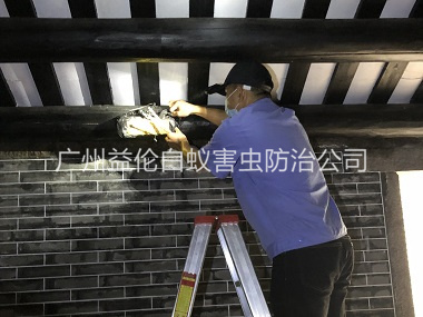 炭步祠堂殺滅白蟻工程